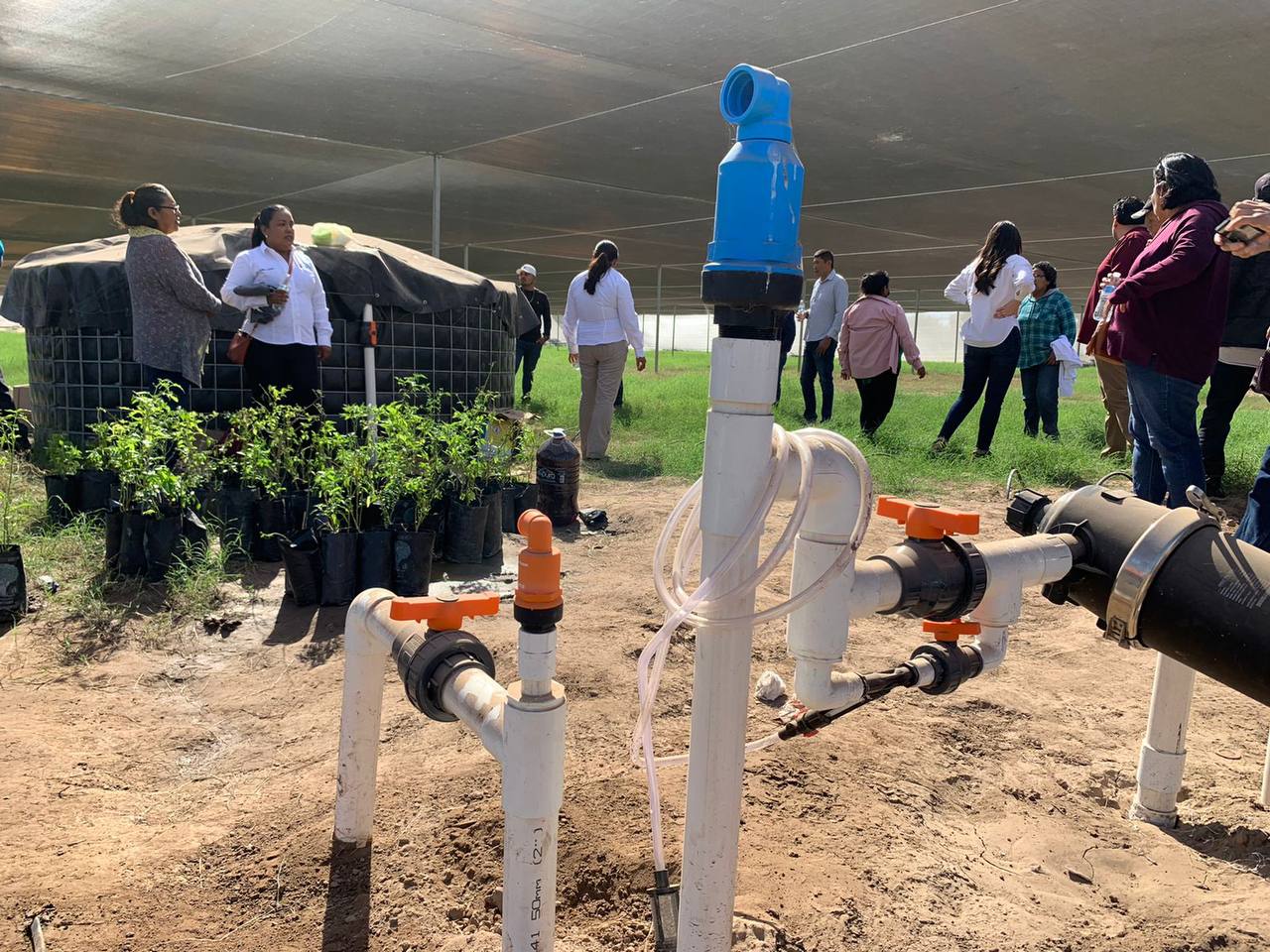 Programa de extensionismo de la Sagarhpa forma cooperativas en zonas marginadas de Sonora